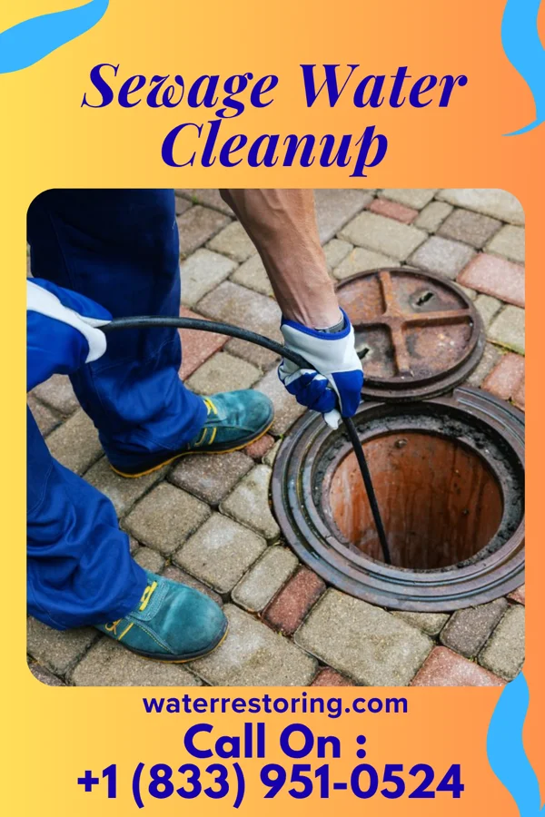 Sewage Water Cleanup in Barnum Island, NY