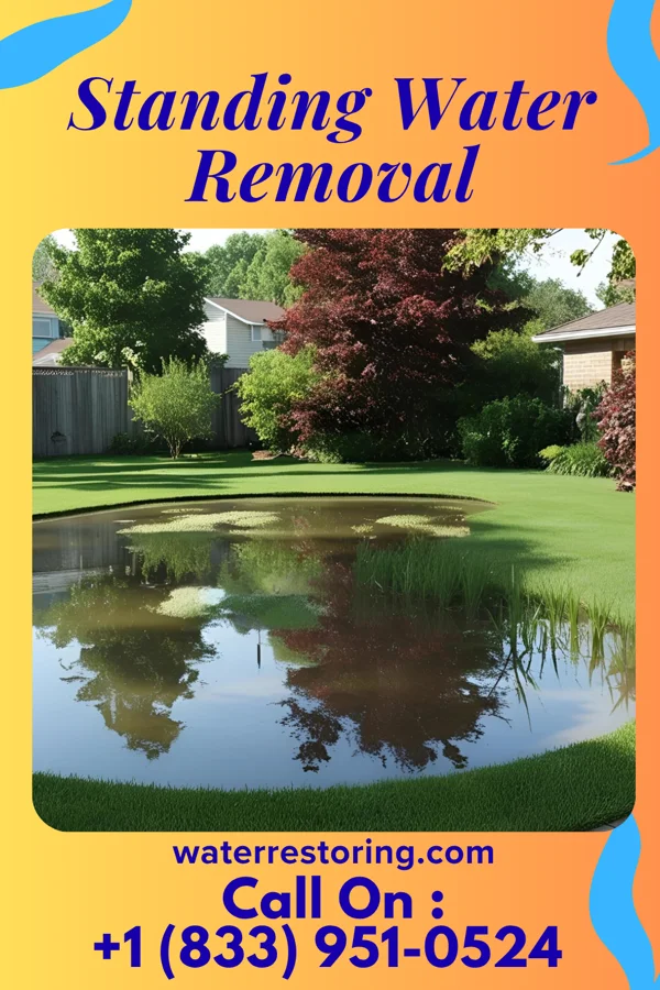 Standing Water Removal in Barnum Island, NY
